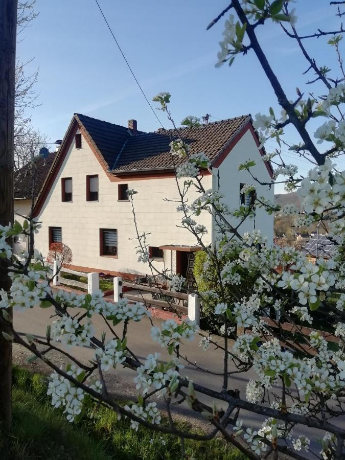 FeWo Mädi Windeck Exterior foto